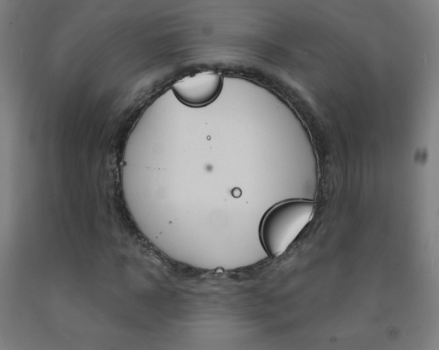 X0000093120918200709261011