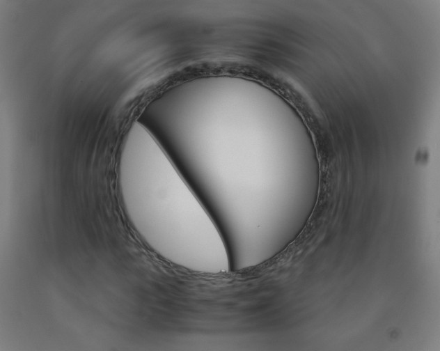 X0000093120919200709261011