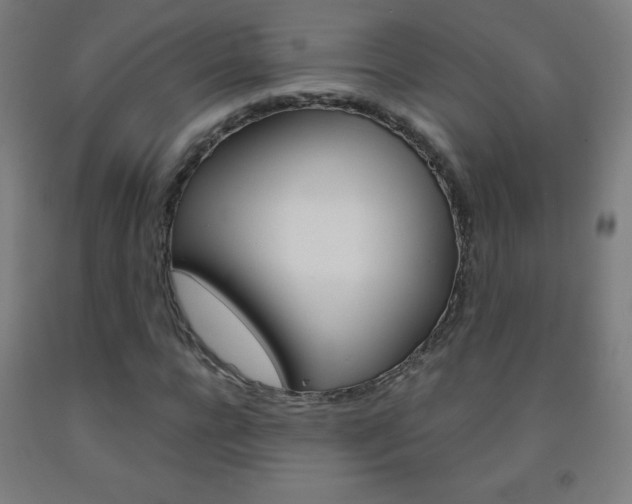 X0000093120920200709261011