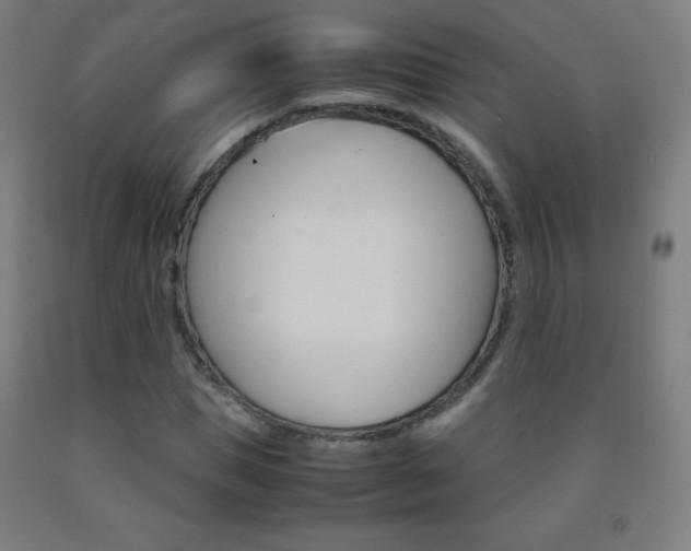 X0000093120921200709261011