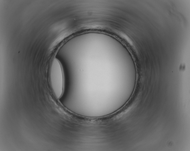 X0000093120922200709261011