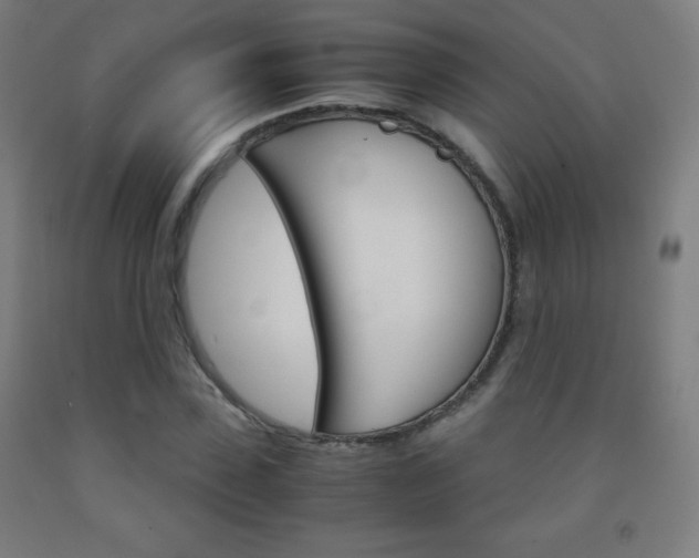 X0000093120923200709261011