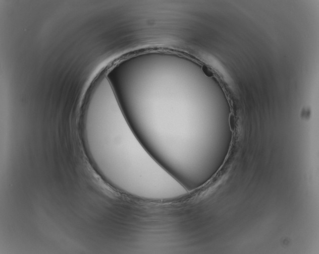X0000093120924200709261011