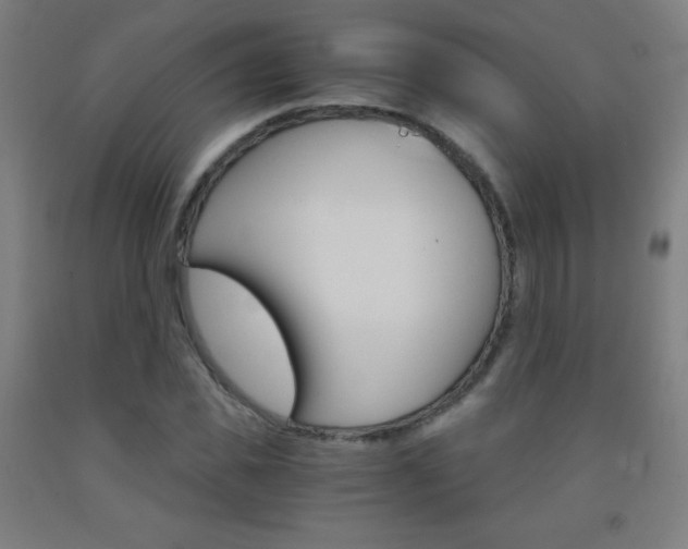 X0000093120925200709261011