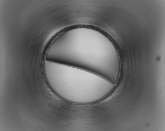 X0000093120926200709261011