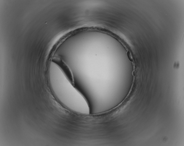 X0000093120927200709261011