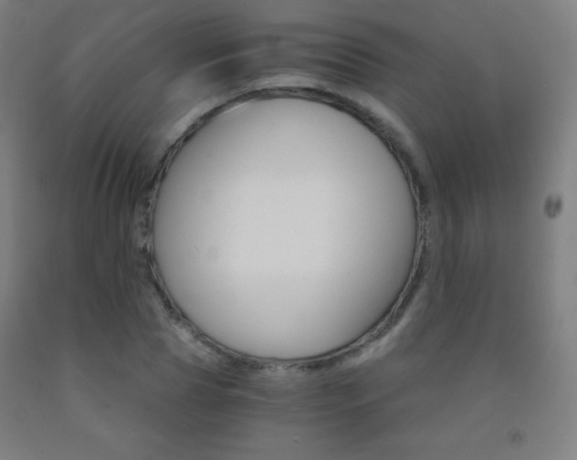 X0000093120929200709261011