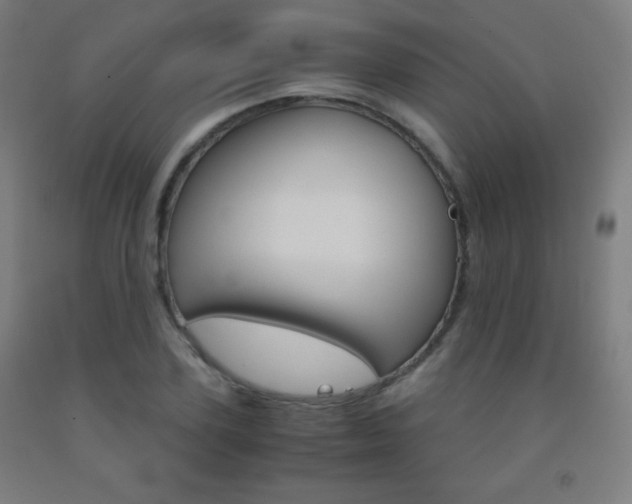 X0000093120931200709261011