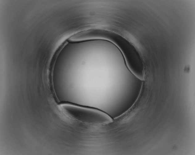 X0000093120932200709261011