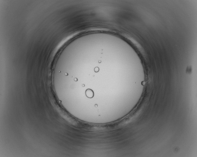X0000093120933200709261011