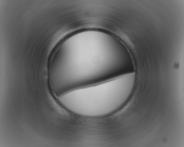 X0000093120934200709261011