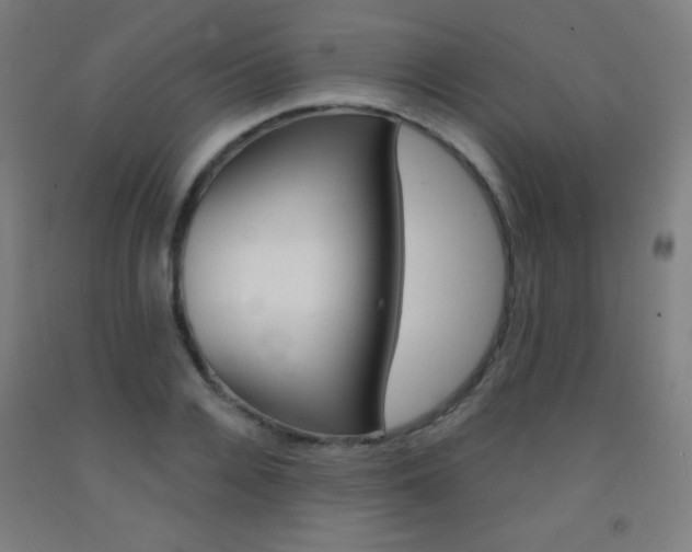 X0000093120936200709261011
