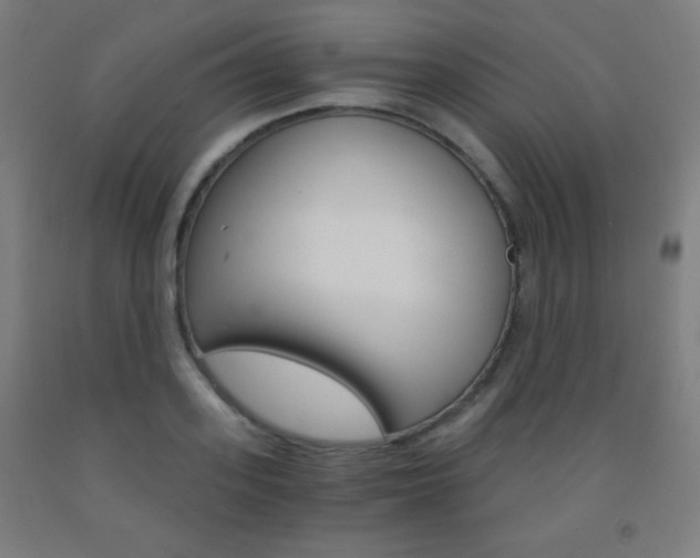 X0000093120939200709261011