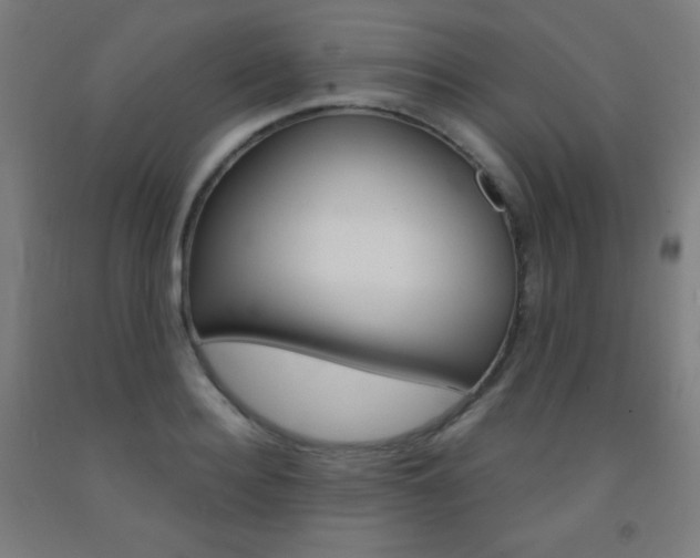 X0000093120940200709261011