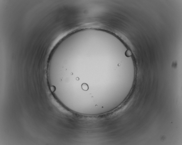 X0000093120941200709261011