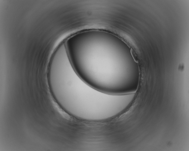 X0000093120942200709261011