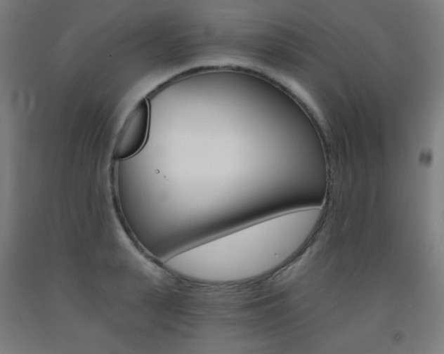 X0000093120943200709261011