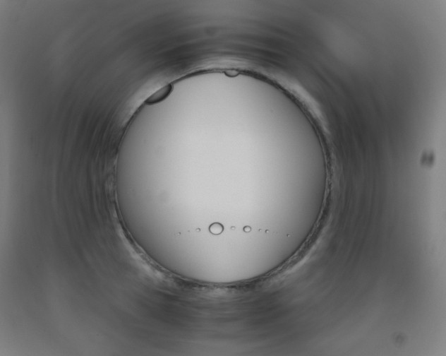 X0000093120945200709261011
