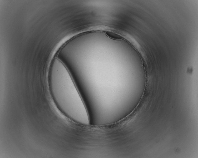 X0000093120947200709261011