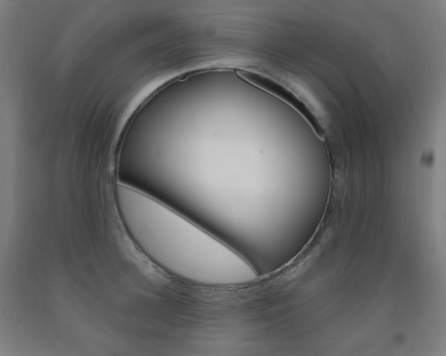 X0000093120948200709261011