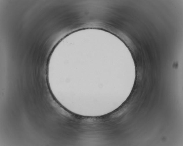 X0000093120950200709261011
