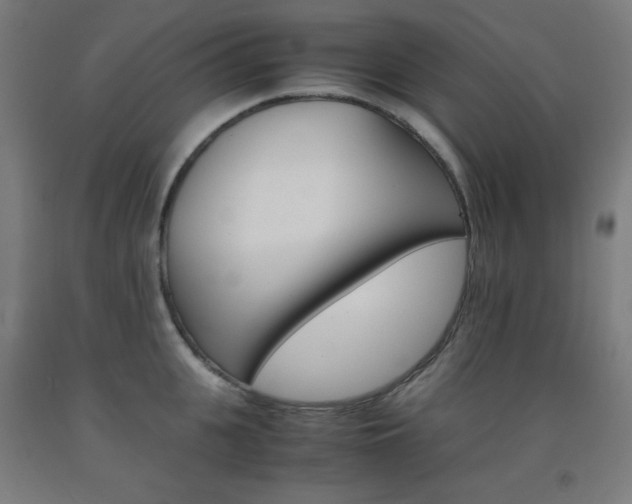 X0000093120951200709261011
