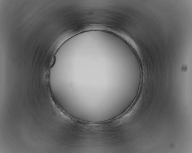 X0000093120953200709261011