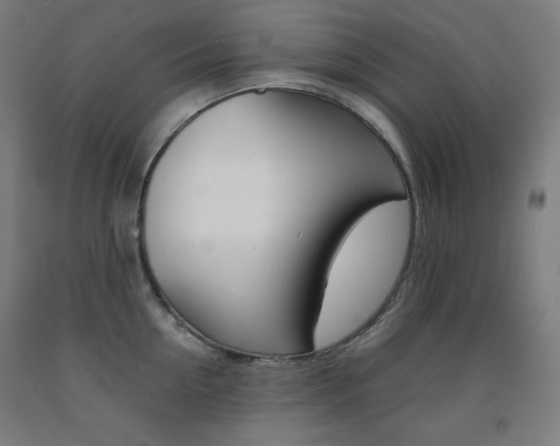 X0000093120954200709261011