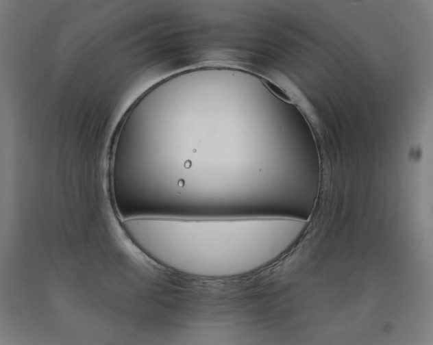 X0000093120955200709261011