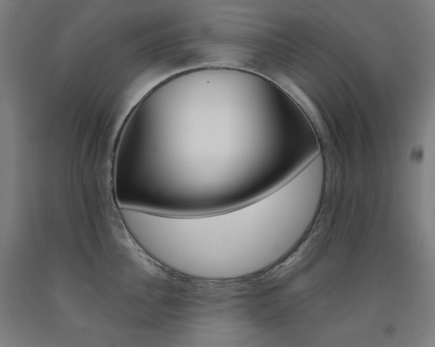 X0000093120956200709261011