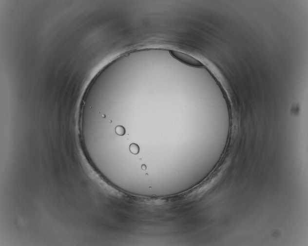 X0000093120957200709261011