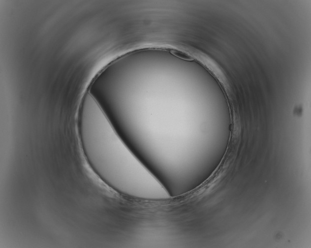 X0000093120958200709261011