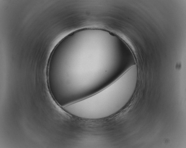 X0000093120959200709261011