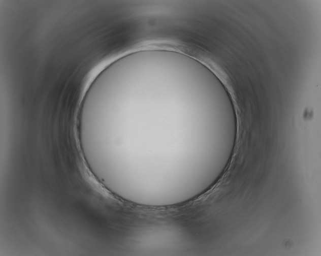 X0000093120960200709261011