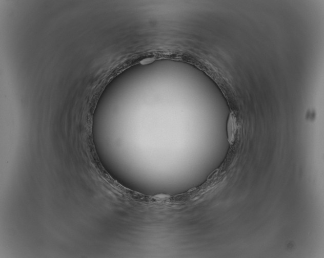 X0000093120961200709261011