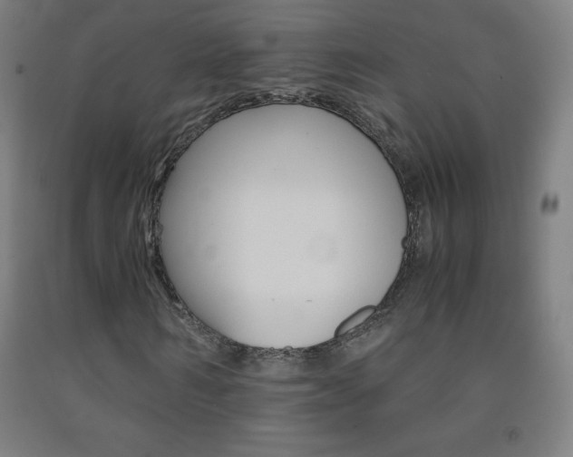 X0000093120962200709261010