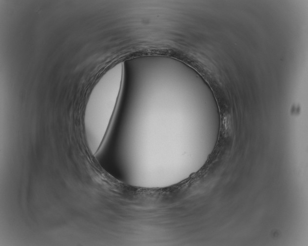 X0000093120963200709261010