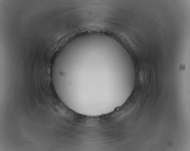 X0000093120964200709261010
