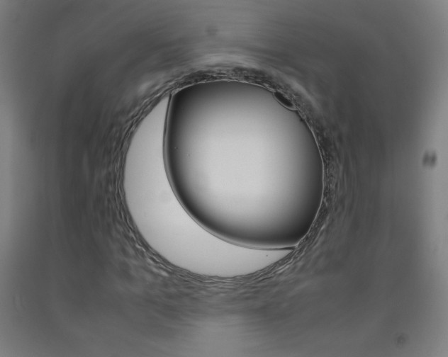 X0000093120965200709261010
