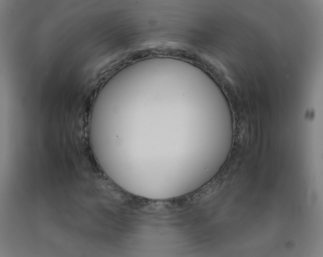 X0000093120966200709261010