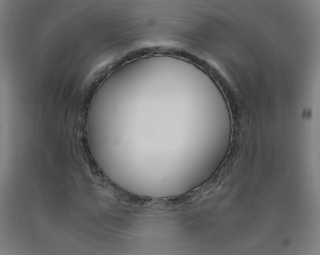 X0000093120967200709261010