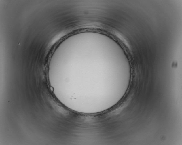 X0000093120970200709261010