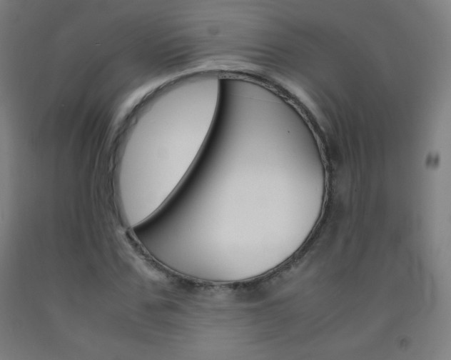 X0000093120971200709261010