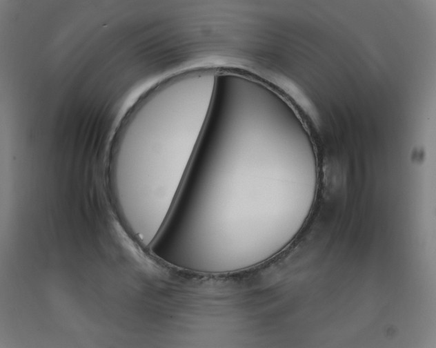 X0000093120972200709261010