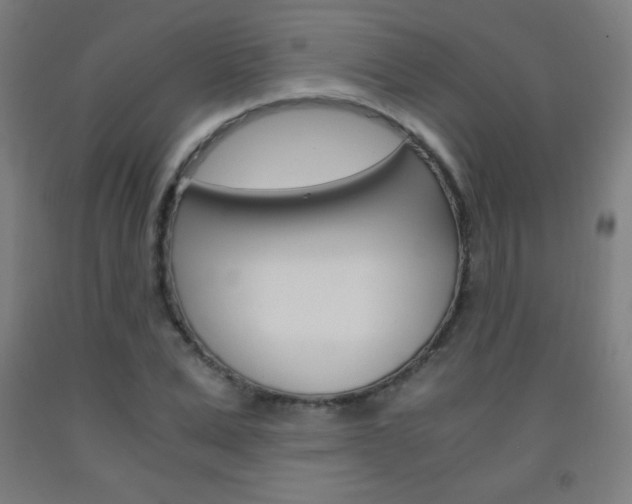 X0000093120975200709261010
