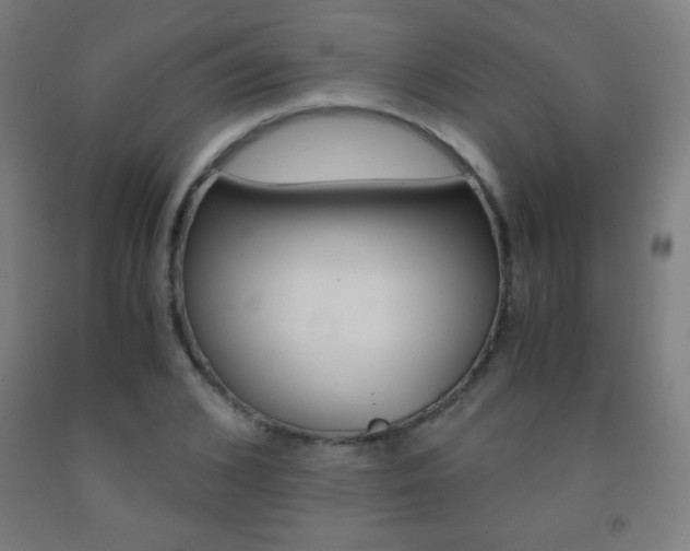 X0000093120976200709261010