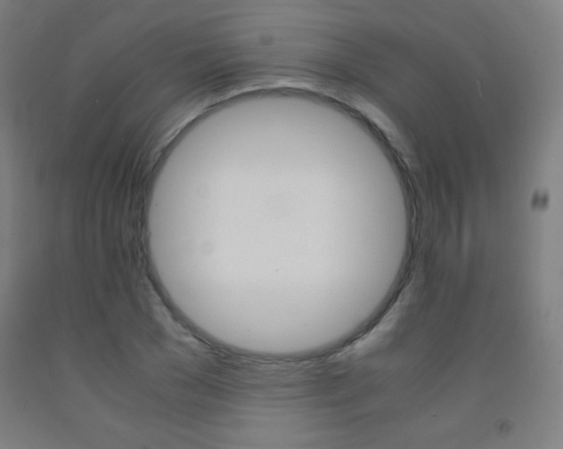 X0000093120977200709261010