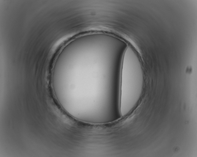 X0000093120979200709261010