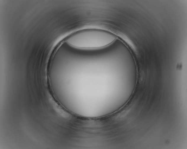 X0000093120980200709261010