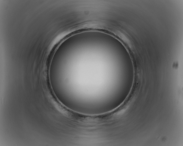 X0000093120981200709261010